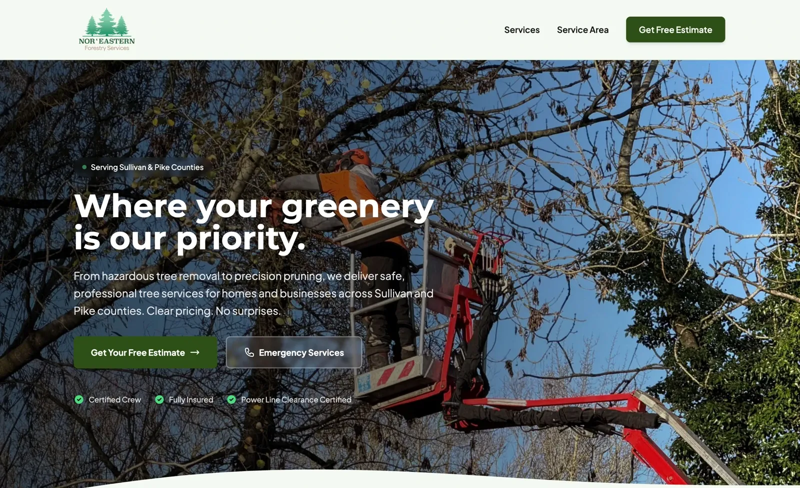 Nor’Eastern Forestry Services homepage design