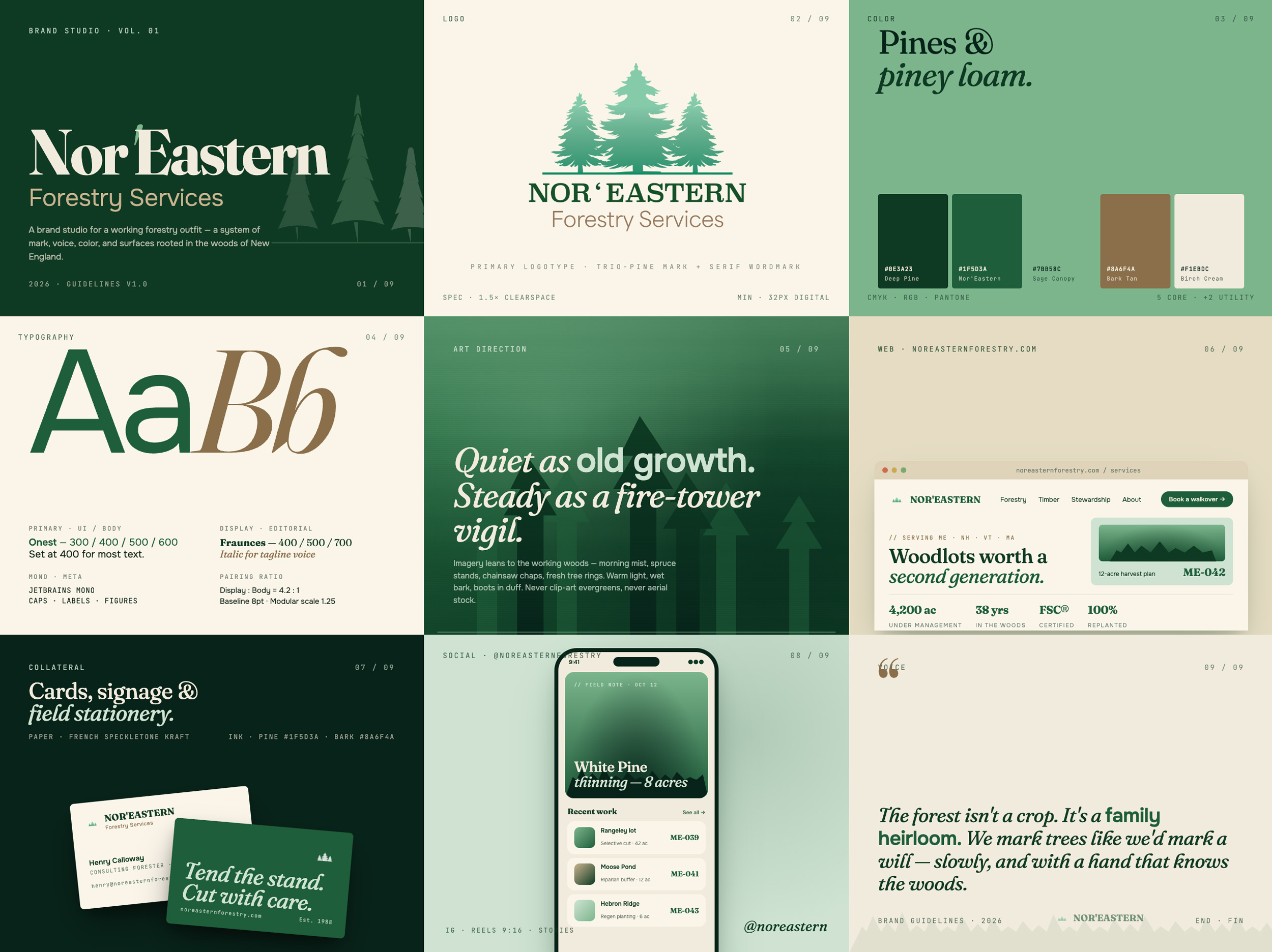 Modern brand identity presentation for a medium-sized business